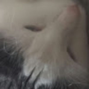 Meet your Posher, Pauline